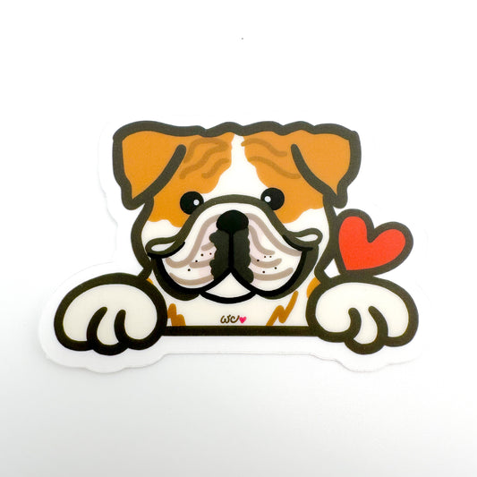 Bulldog (Tan/white) Sticker