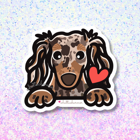 Longhaired Chocolate Dapple Dachshund Vinyl Sticker