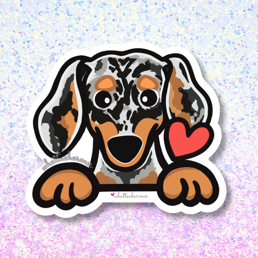 Smooth Silver Dapple Dachshund Vinyl Sticker