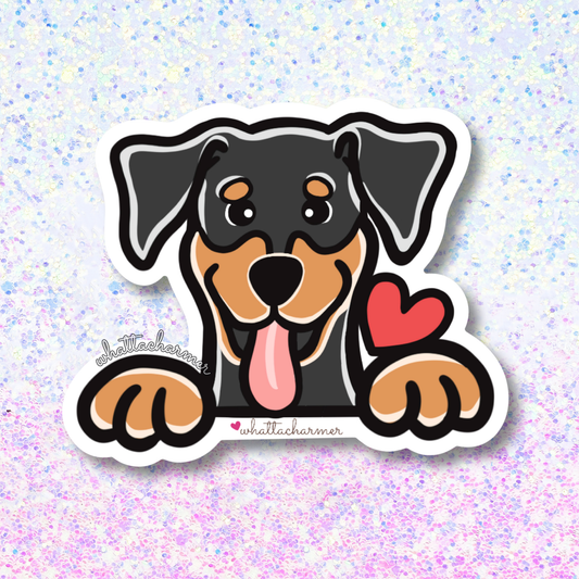 Normal Ears Black and Tan Doberman Vinyl Sticker