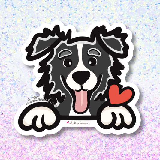 Black Border Collie Vinyl Sticker