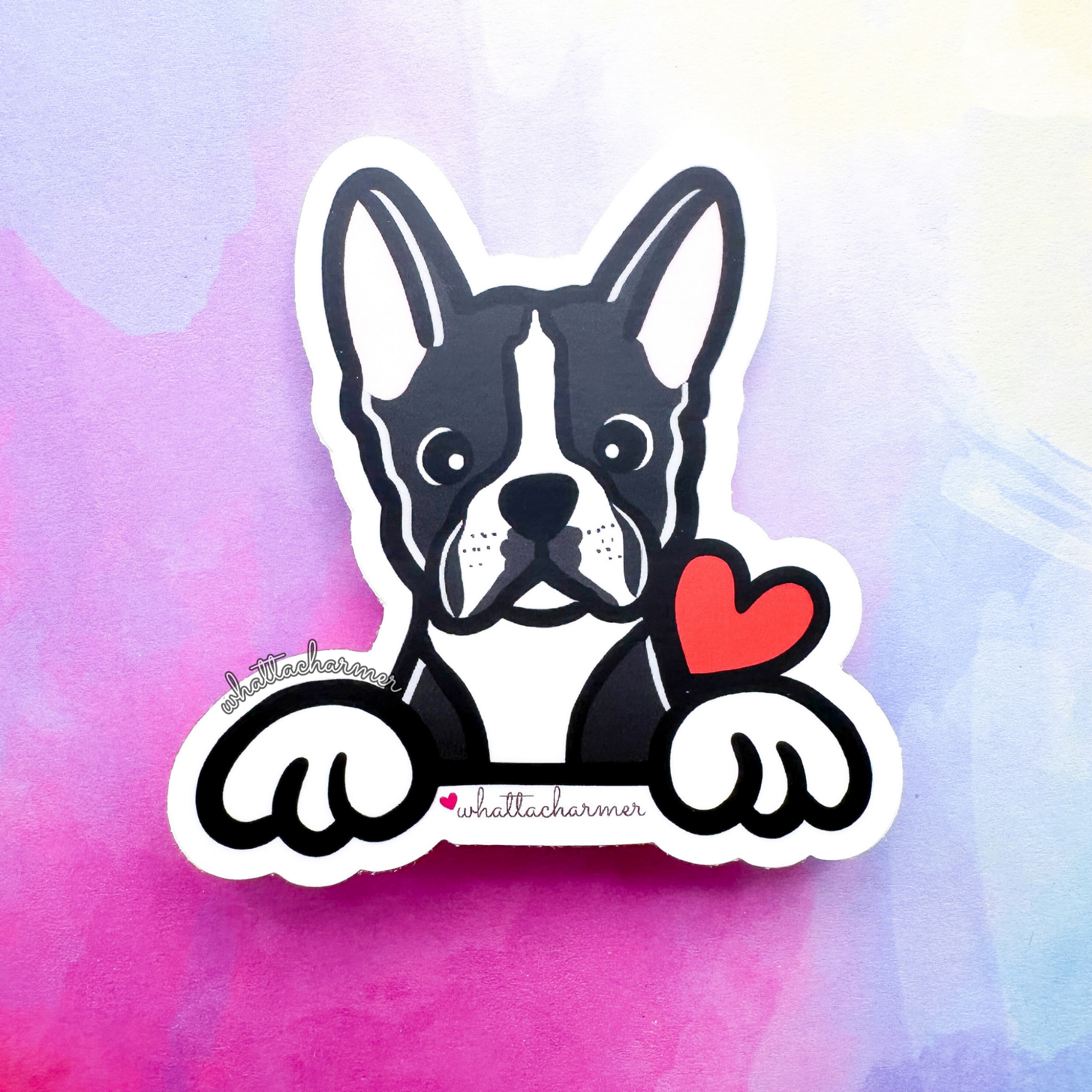 Black and White Boston Terrier Sticker
