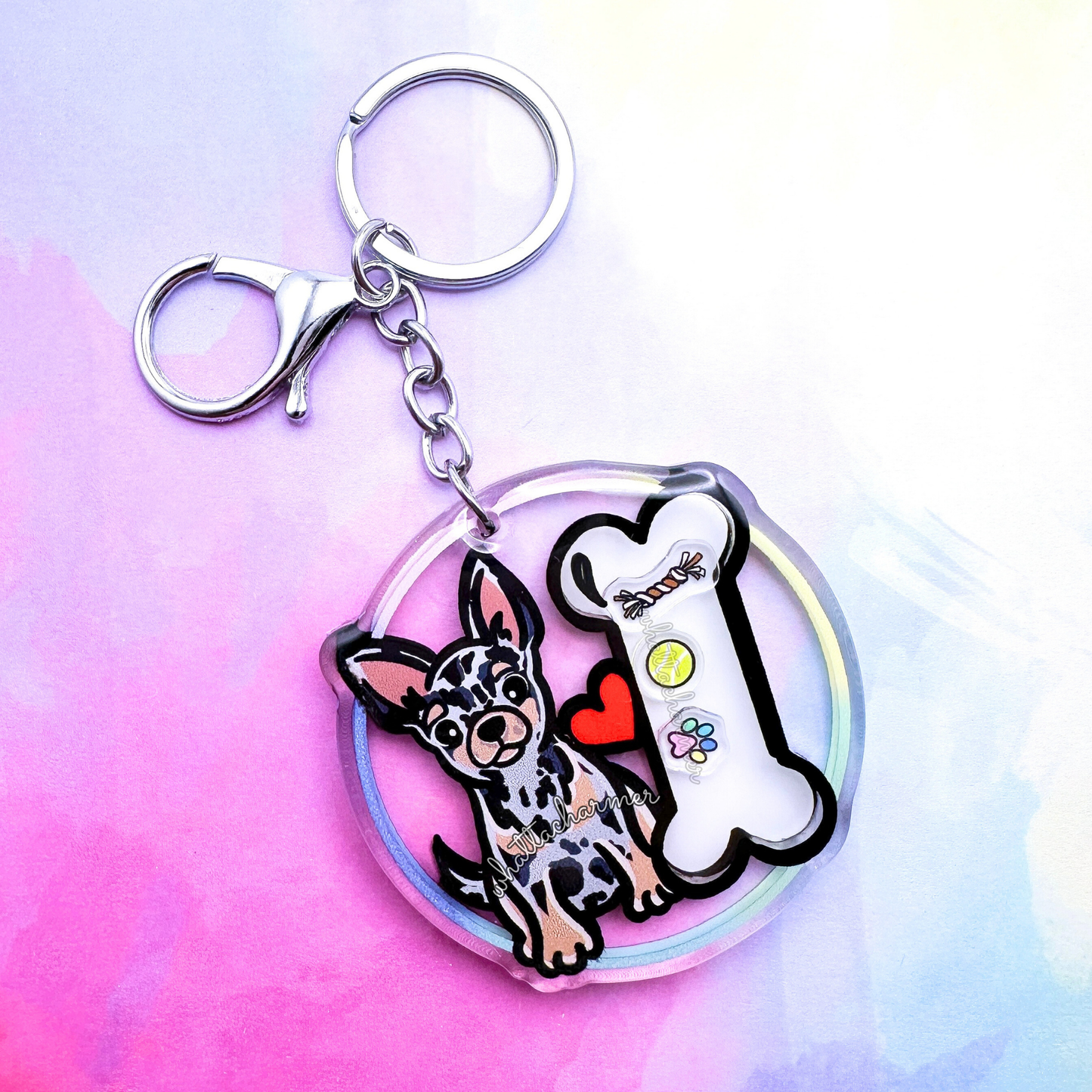 Shorthaired Blue Merle Chihuahua Shaker Keychain