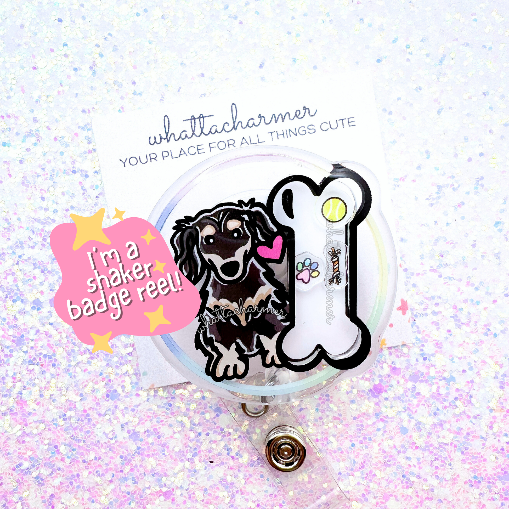 Longhaired Black and Cream Dachshund Shaker Badge Reel