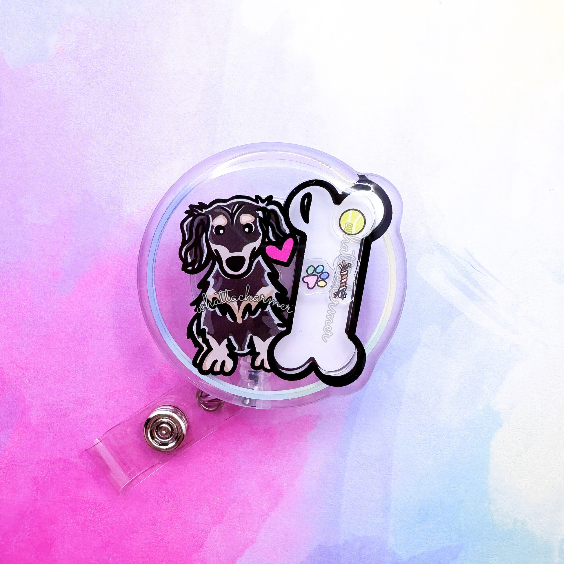 Longhaired Black and Cream Dachshund Shaker Badge Reel