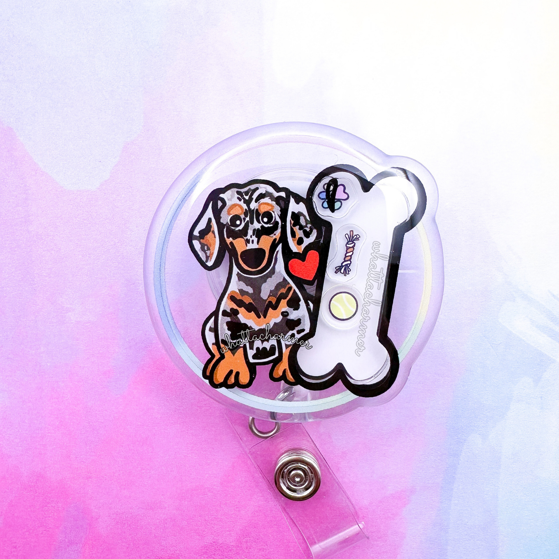 Smooth Silver Dapple Dachshund Shaker Badge Reel