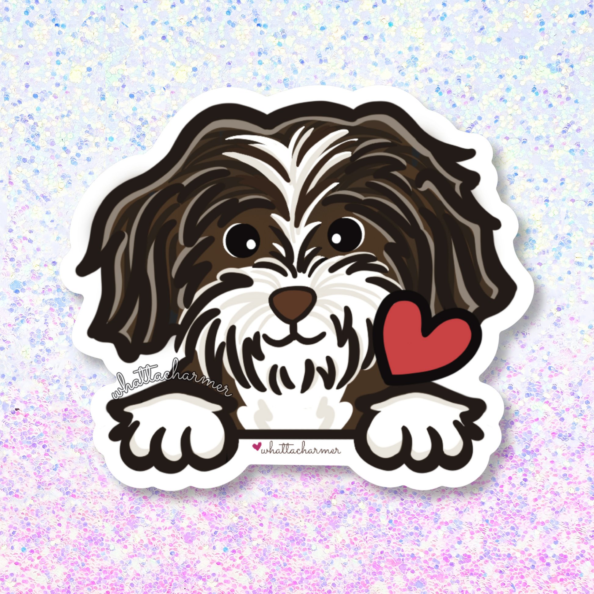 Chocolate and White Havanese Sticker