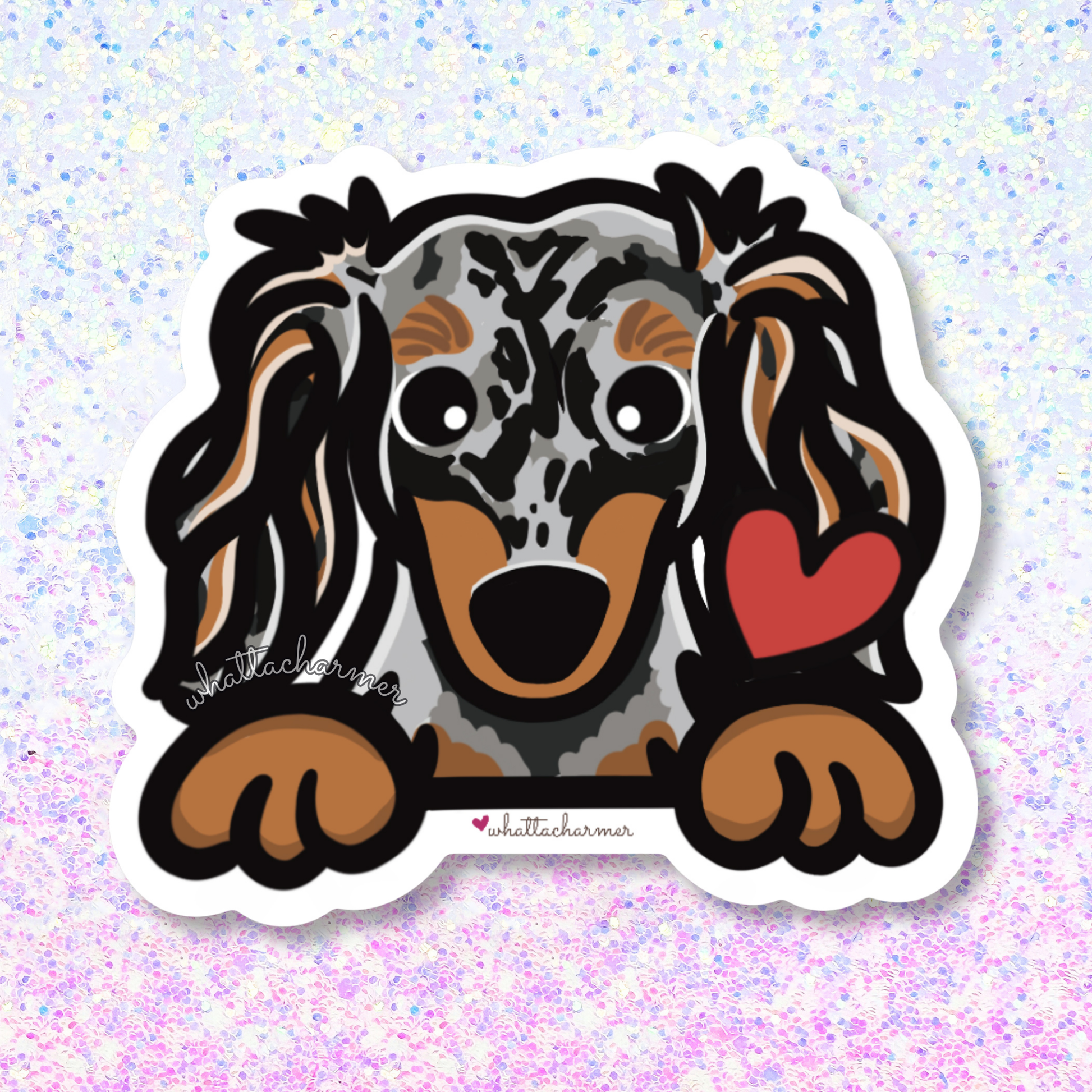 Longhaired Silver Dapple Dachshund Sticker