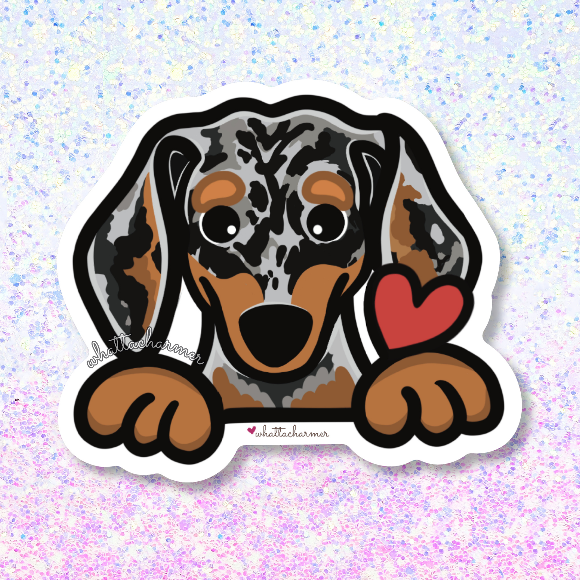 Smooth Silver Dapple Dachshund Sticker