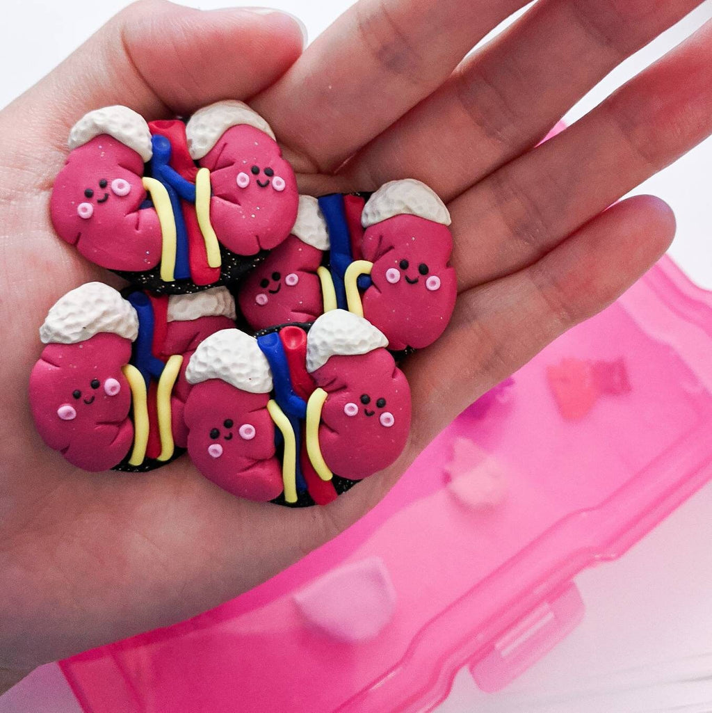 Nephrology Kidney Badge Reel