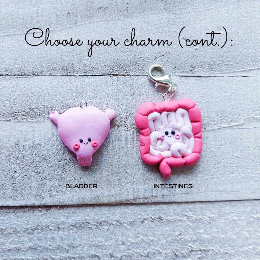 Anatomy Organ Charms